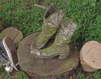 SHOE BLUES IX