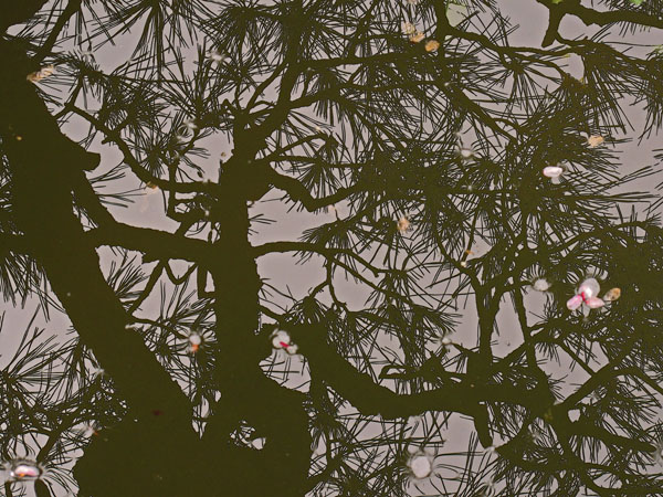 REFLECTION