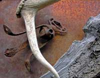 STILL LIFE WITH HORN, WOOD AND UNIDENTIFIED IRON OBJECT