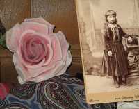 MY LITTLE ROSE