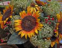 FLOWER ARRANGEMENTS XV