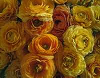 FLOWER ARRANGEMENTS VIII