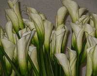 FLOWER ARRANGEMENTS XI