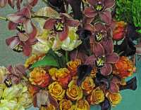 FLOWER ARRANGEMENTS XIII