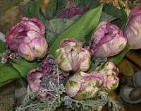 FLOWER ARRANGEMENTS II